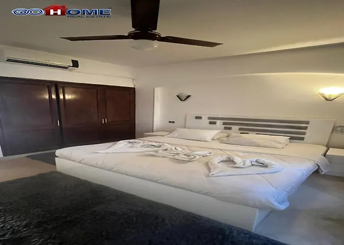 Apartment -y97-0-8- 1 Bedroom Sabina *